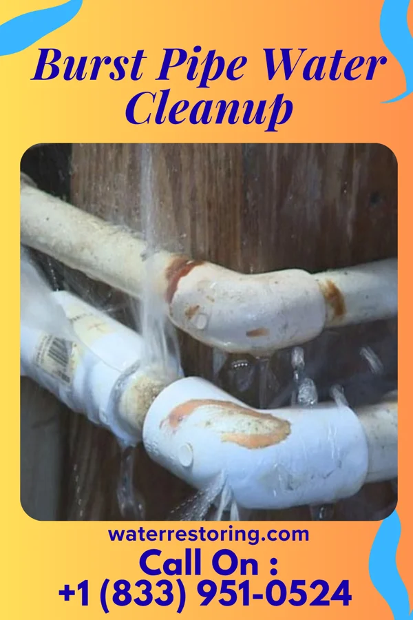 Burst Pipe Water Cleanup in Somerville, MA