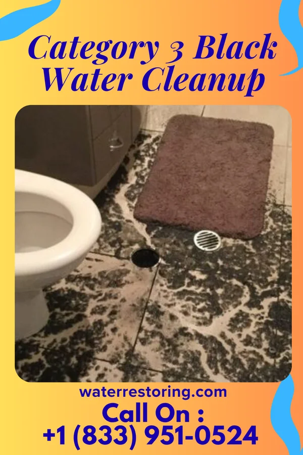 Category 3 Black Water Cleanup in Somerville, MA