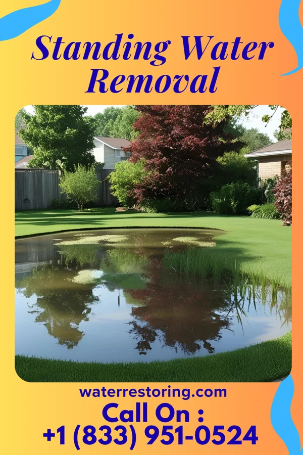 Standing Water Removal in Somerville, MA